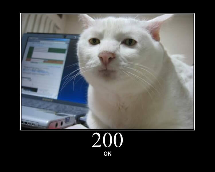 Cat 200